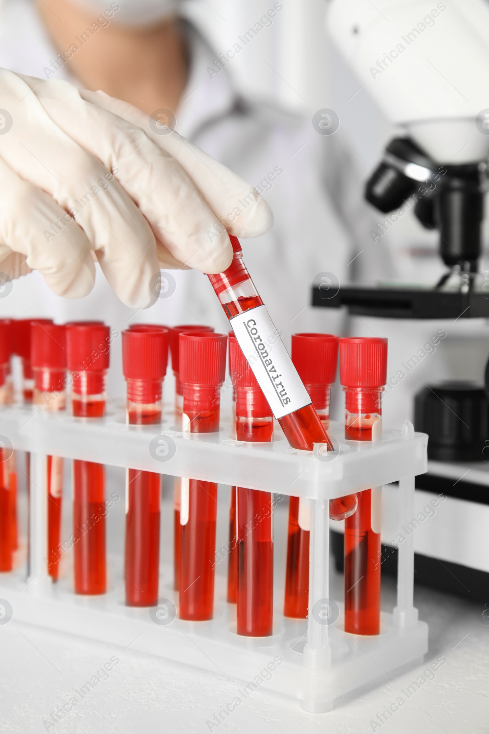 Photo of Scientist taking test tube with blood sample and label CORONA VIRUS from rack in laboratory, closeup