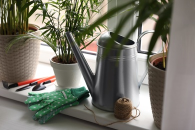 Different house plants and gardening tools on white window sill