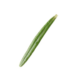 Photo of Fresh green rosemary leaf on white background