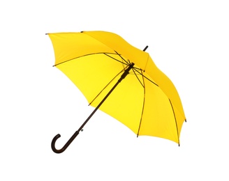 Beautiful open umbrella on white background