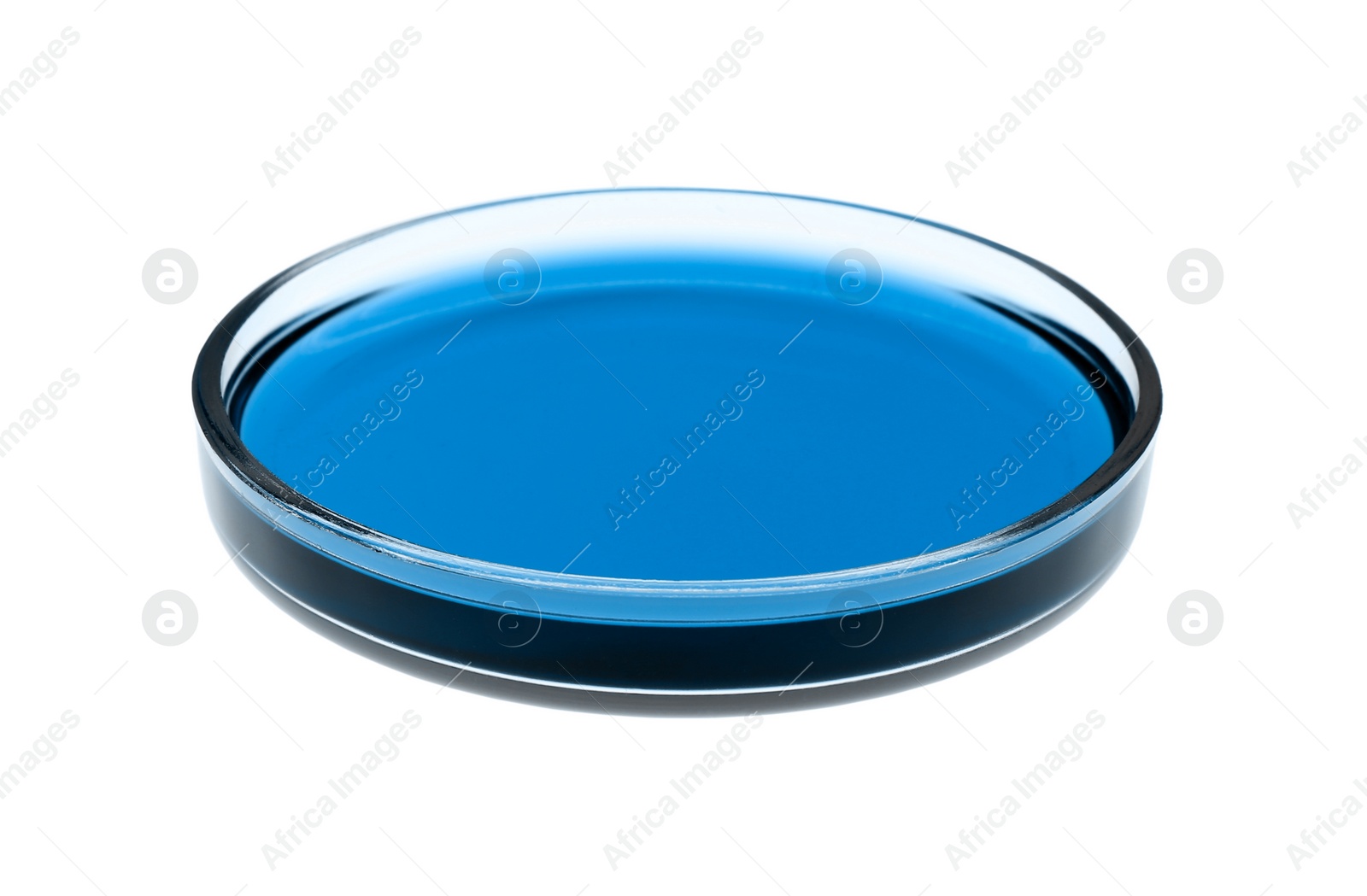 Image of Petri dish with blue liquid isolated on white. Laboratory glassware