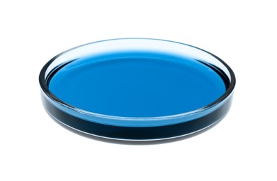 Image of Petri dish with blue liquid isolated on white. Laboratory glassware