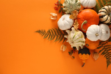 Flat lay composition with different ripe pumpkins on orange background. Space for text