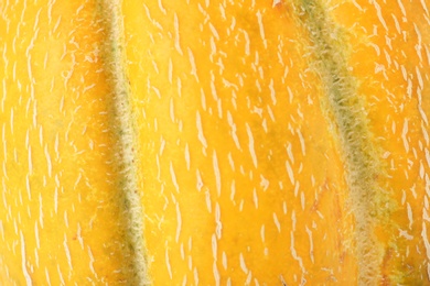 Texture of fresh ripe melon peel, closeup view