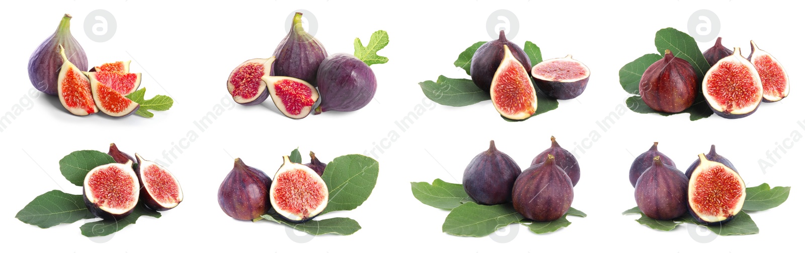 Image of Set of cut and whole figs on white background. Banner design