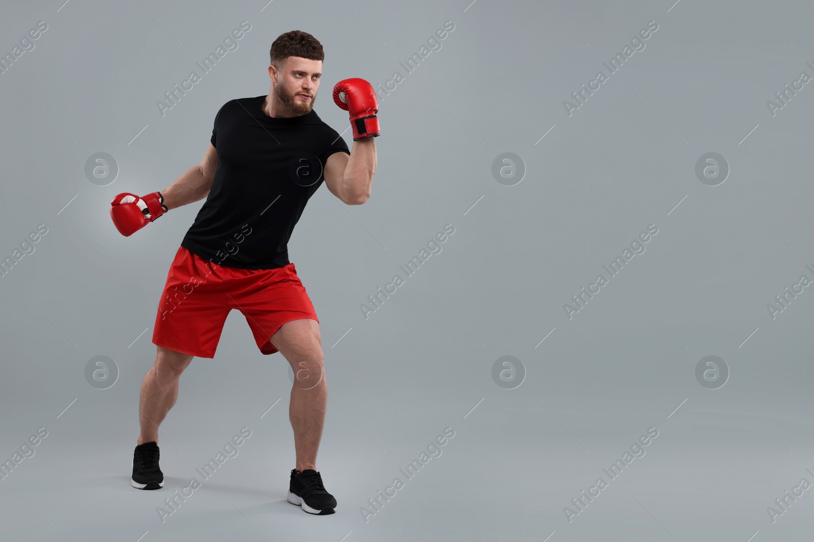 Photo of Man in boxing gloves fighting on grey background. Space for text