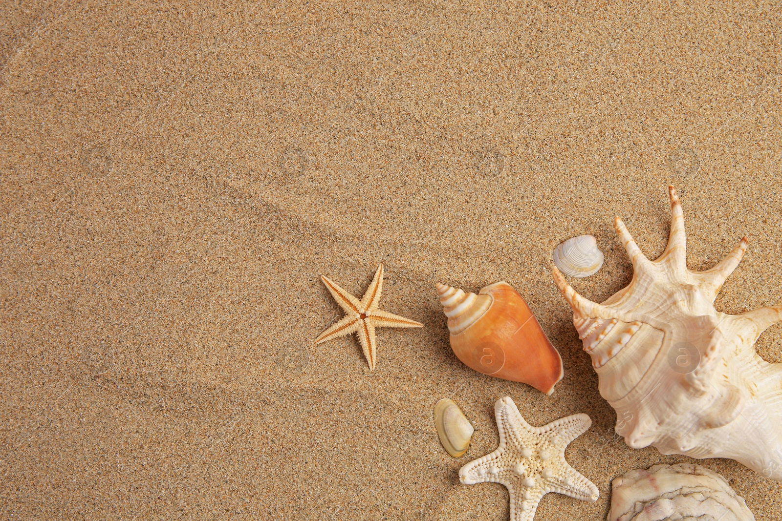 Photo of Beautiful sea stars and shells on sand, flat lay. Space for text