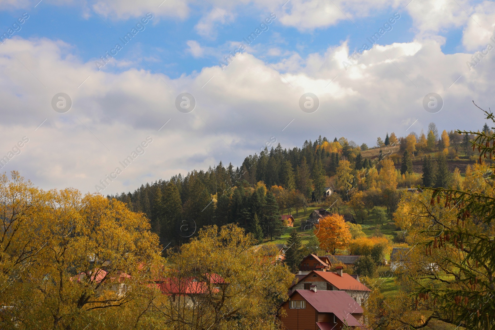 Photo of Beautiful view of forest and mountain village on autumn day