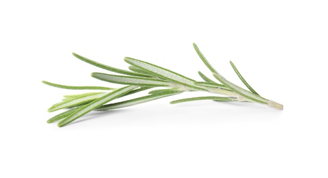 Photo of Fresh green rosemary twig on white background