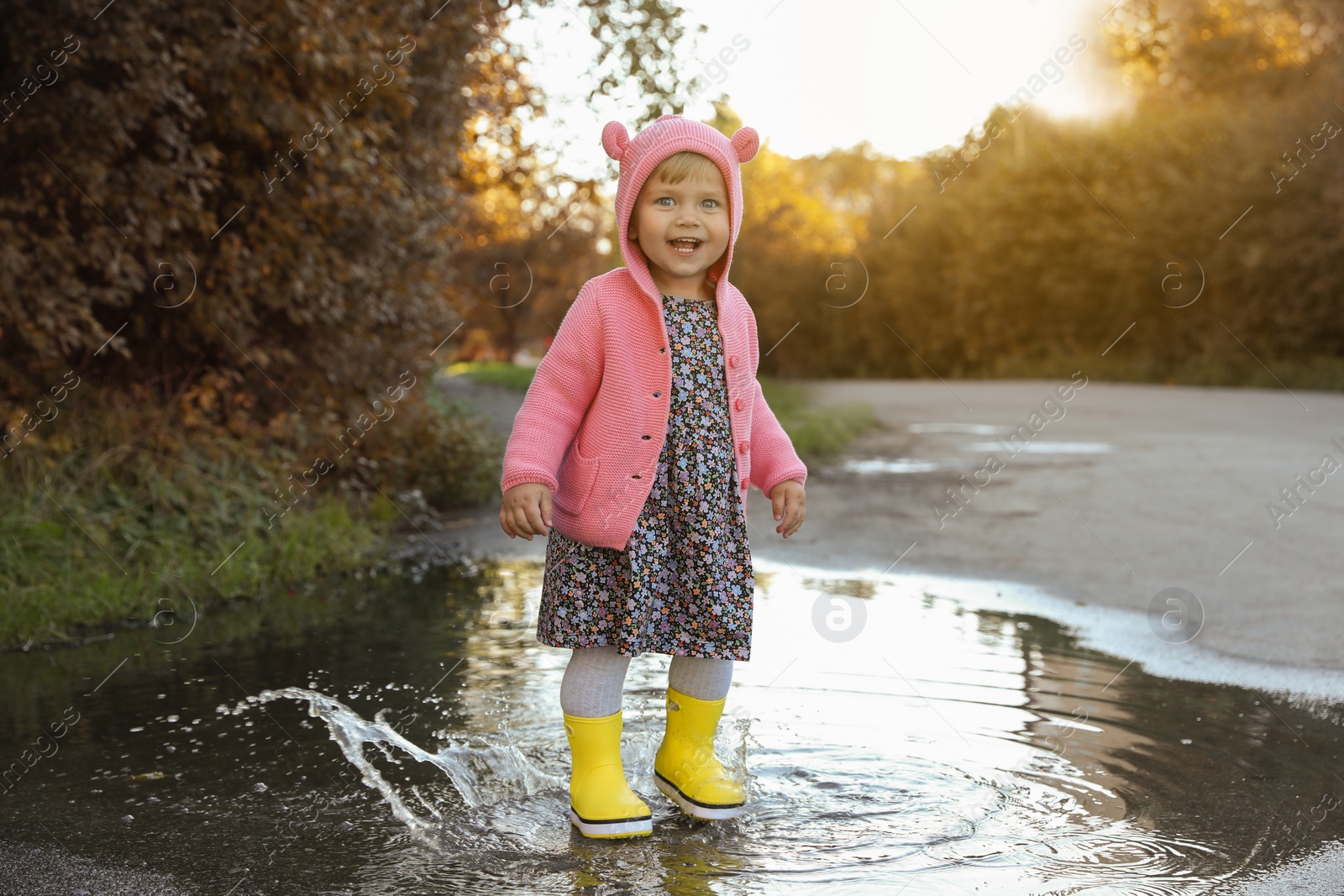 Photo of Little girl wearing rubber boots walking in puddle outdoors