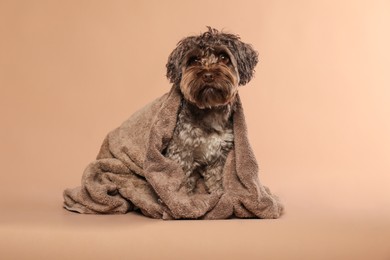 Photo of Cute dog with towel on light brown background