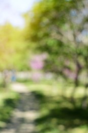 Photo of Park with trees and walkway on sunny day, blurred view. Bokeh effect