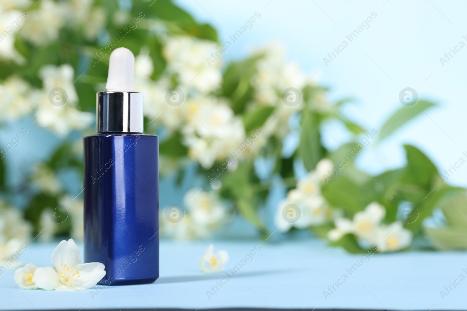 Photo of Essential oil in bottle and beautiful jasmine flowers on light blue background, closeup. Space for text