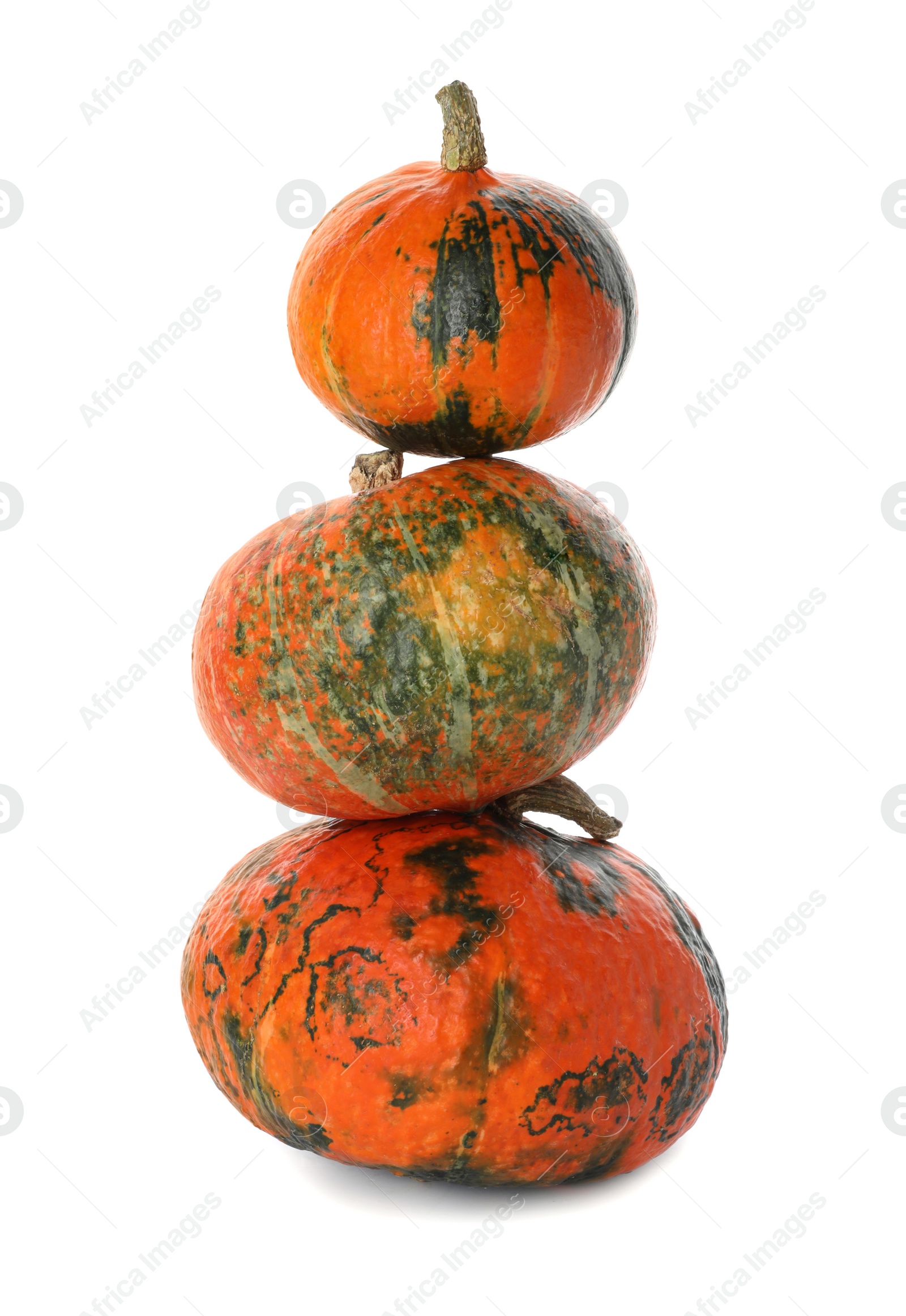 Photo of Stacked fresh raw pumpkins isolated on white