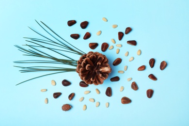 Flat lay composition with pine nuts on color background