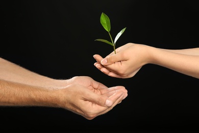 Woman passing soil with green plant to man on black background. Family concept