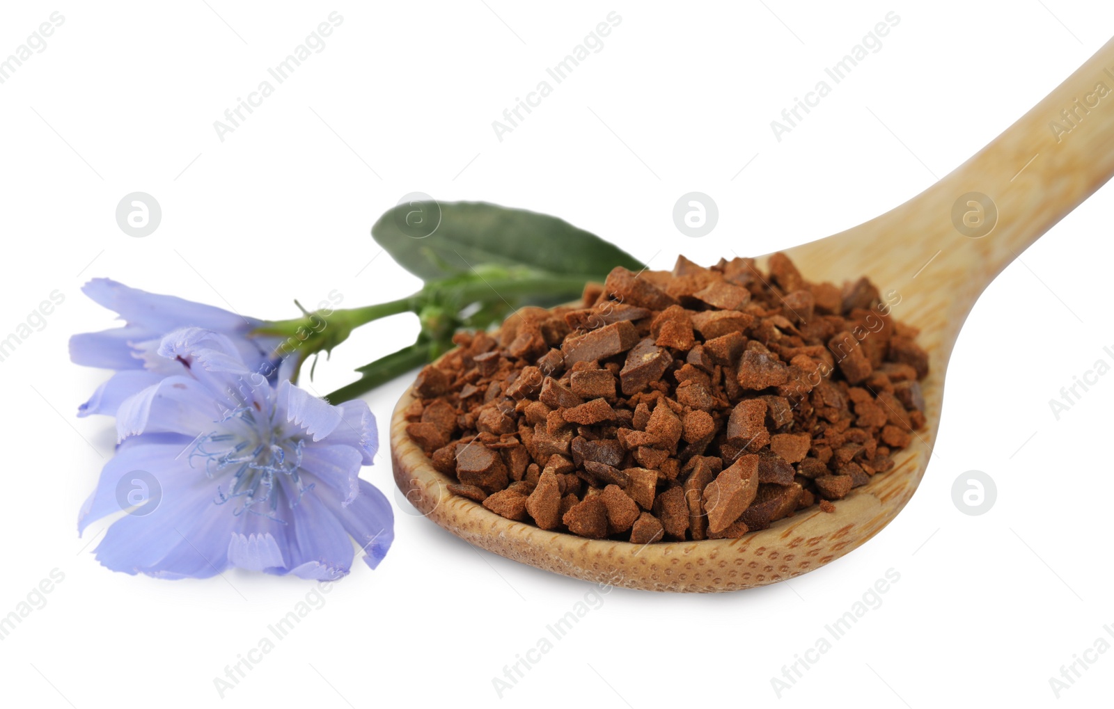 Photo of Spoon of chicory granules and flowers on white background