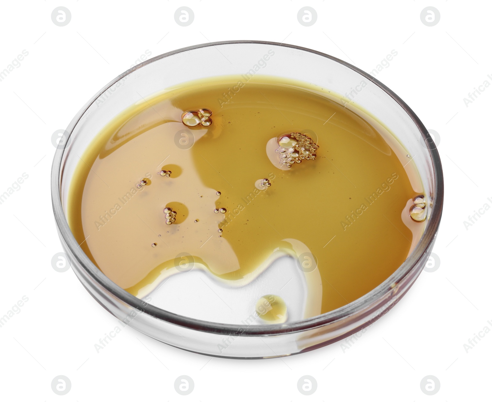 Photo of Petri dish with color liquid sample isolated on white