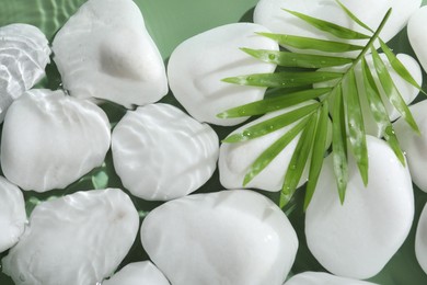 Spa stones and palm leaf in water on light green background, flat lay