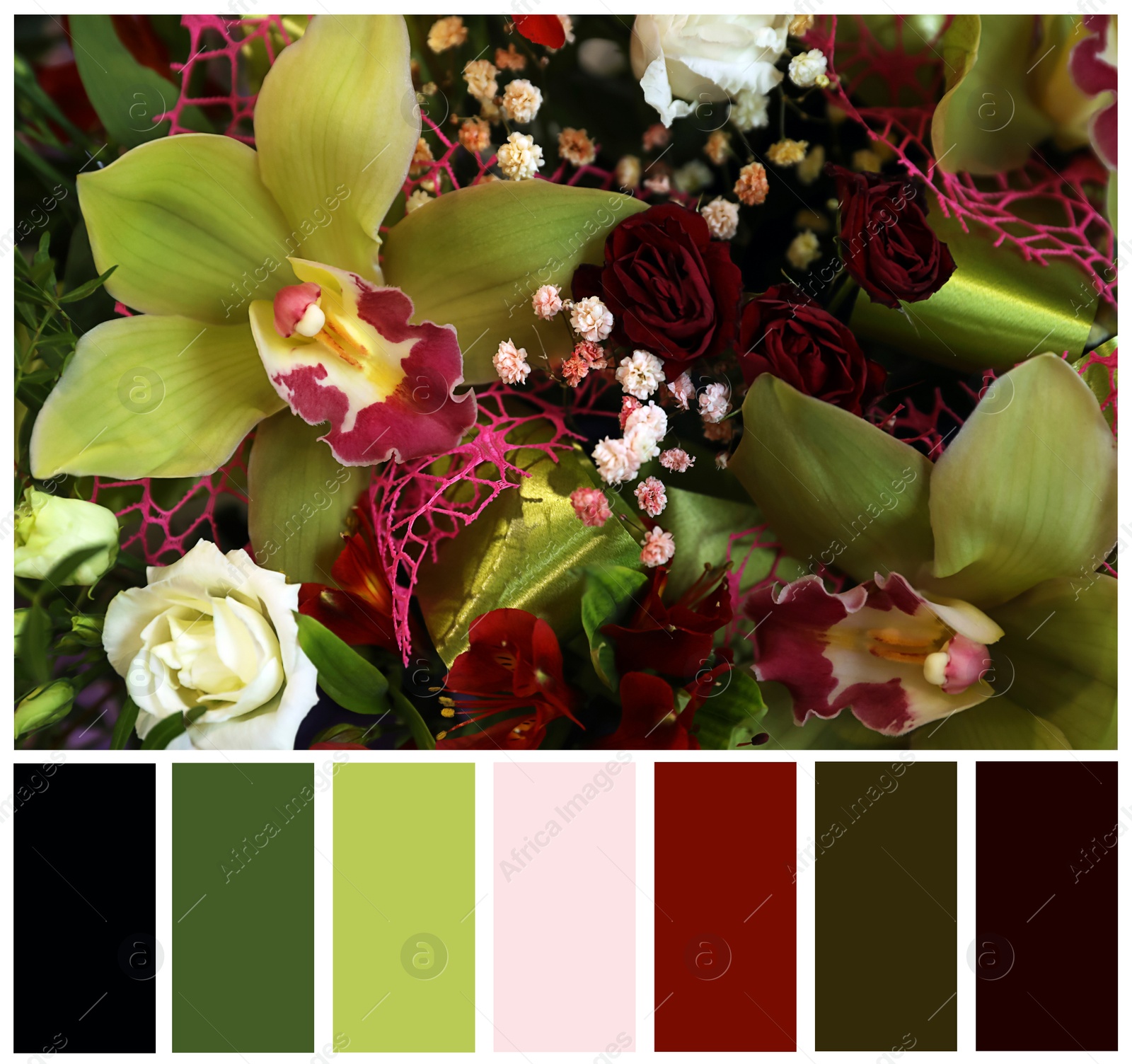 Image of Beautiful fresh flowers and color palette. Collage