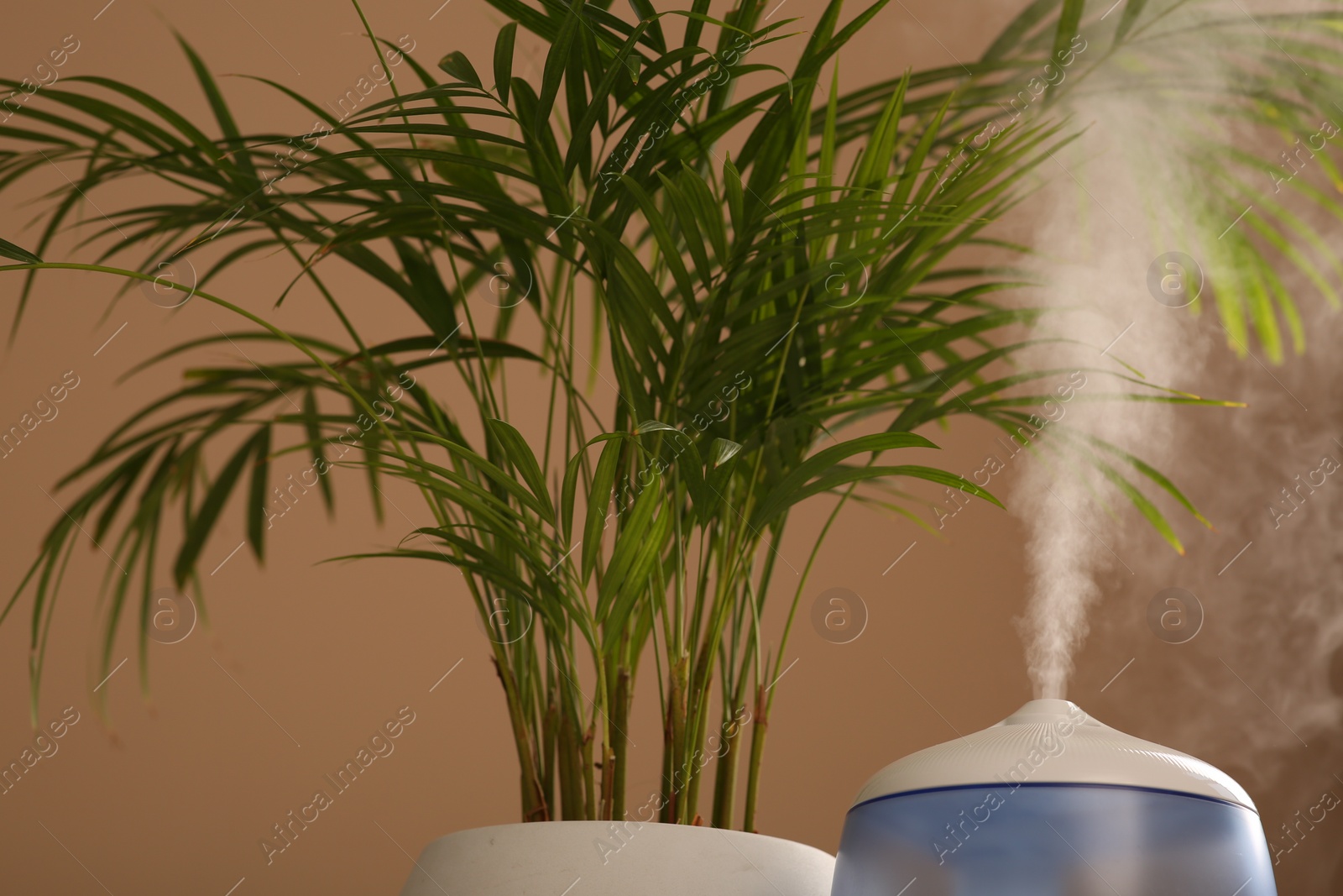 Photo of Air humidifier near houseplant against pale brown wall