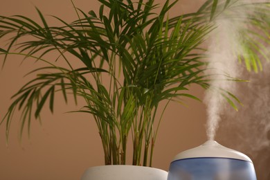 Photo of Air humidifier near houseplant against pale brown wall