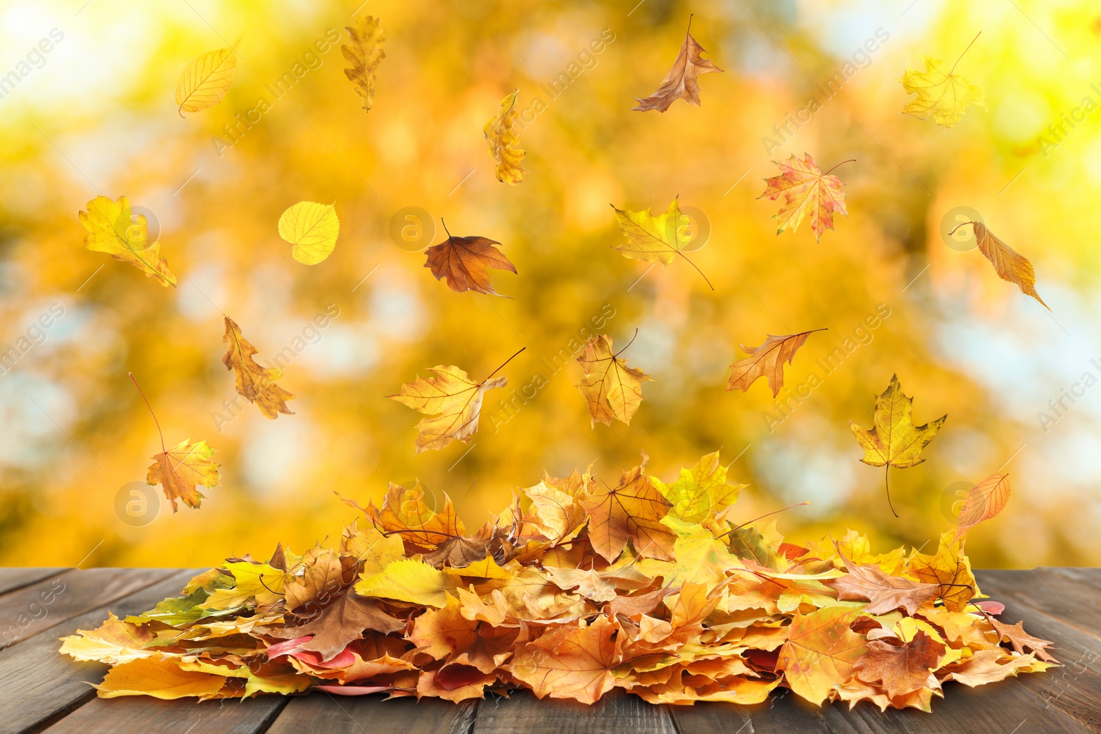 Image of Autumn leaves falling on wooden surface outdoors