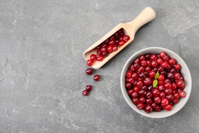 Photo of Fresh ripe cranberries in bowl and scoop on grey table, flat lay. Space for text