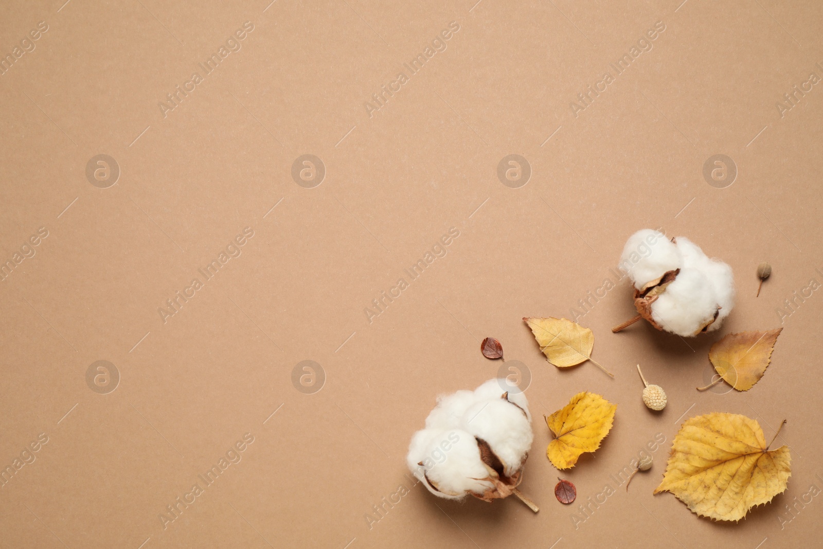 Photo of Flat lay composition with autumn leaves on beige background, space for text