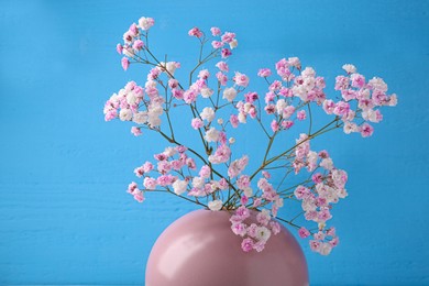 Photo of Beautiful dyed gypsophila flowers in pink vase against light blue background