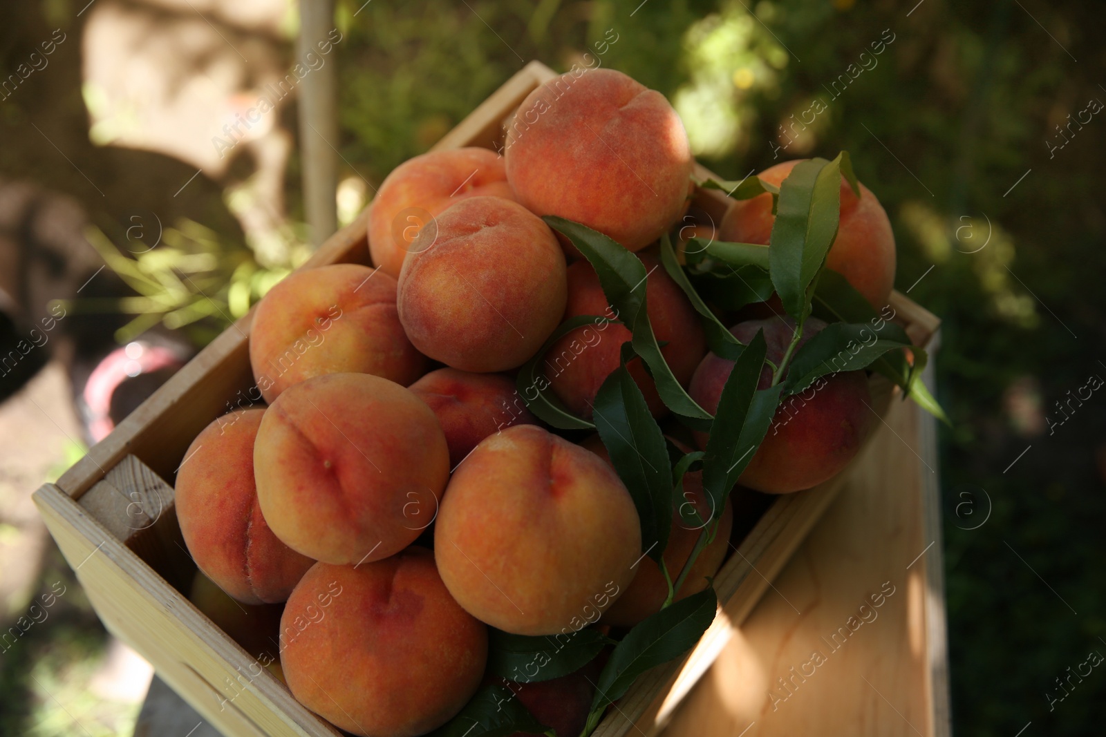 Photo of Wooden crate with ripe peaches on table outdoors, closeup