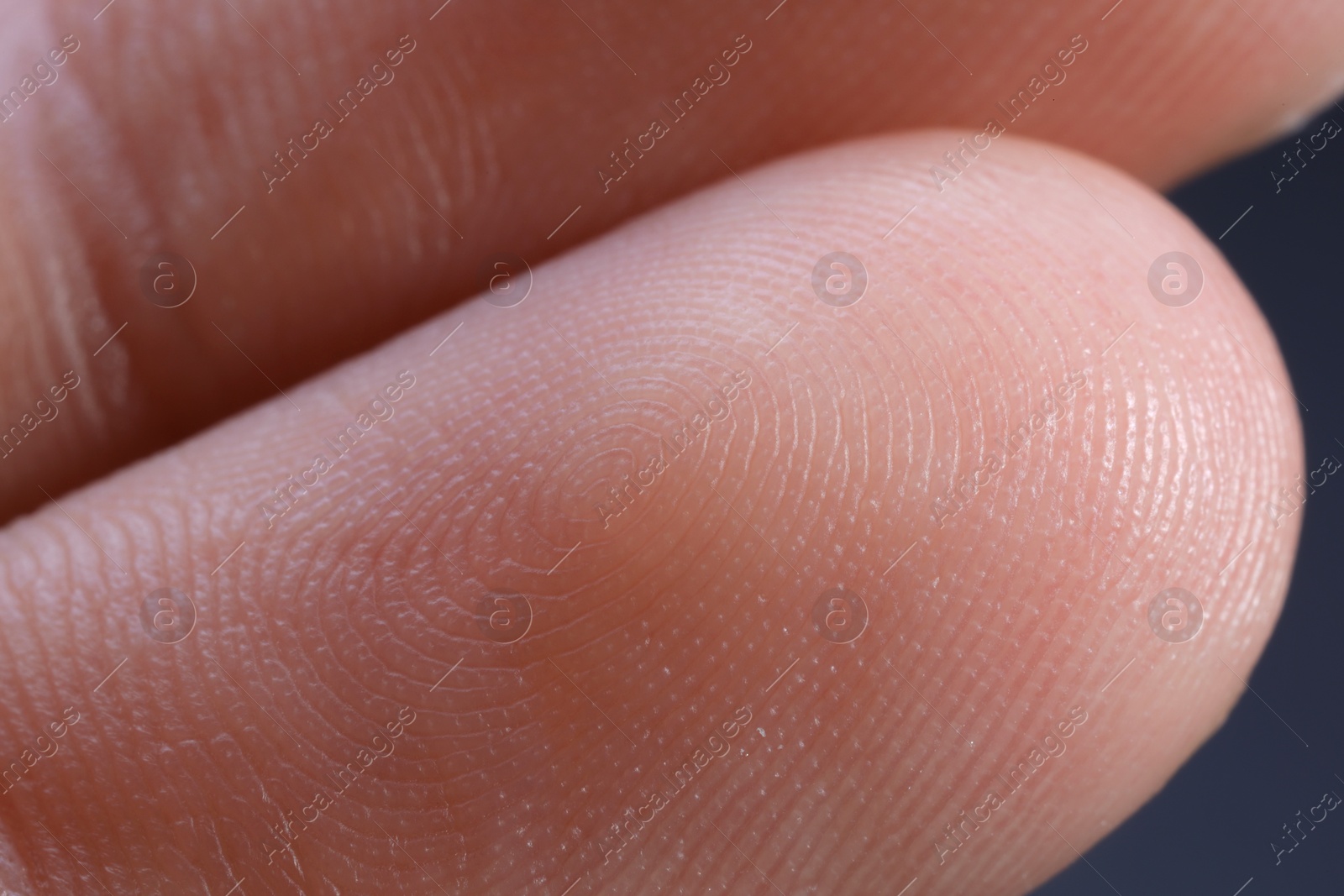 Photo of Macro view of finger with friction ridges