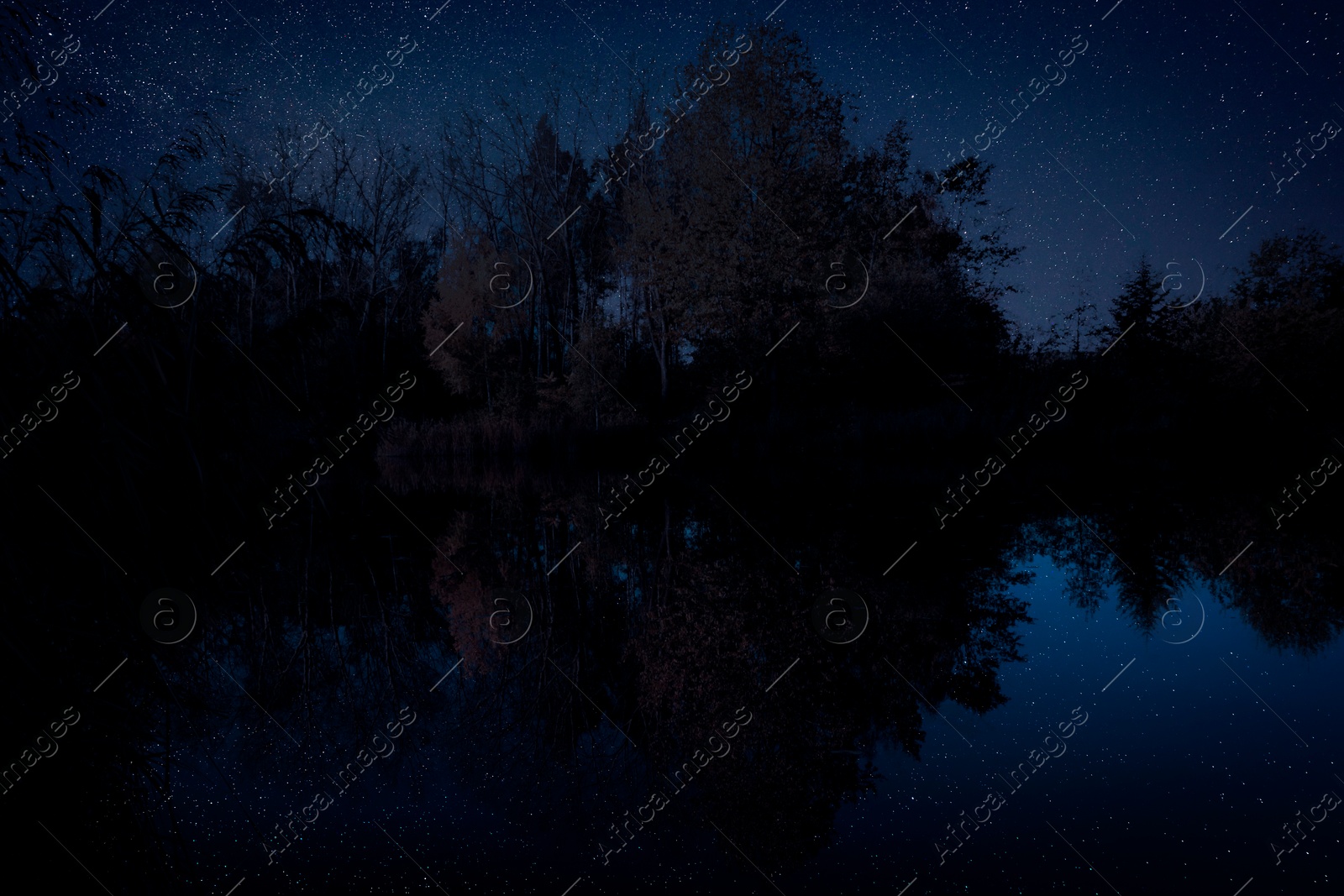 Image of Amazing starry sky and trees reflecting in lake at night