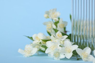 Beautiful jasmine flowers on light blue background, closeup. Space for text