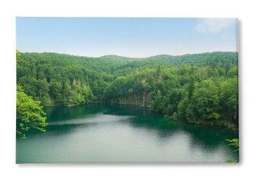 Photo printed on canvas, white background. Picturesque view of beautiful river and forest on sunny day