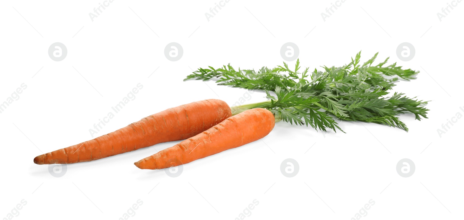 Photo of Fresh ripe carrots on white background. Wholesome vegetable