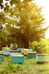 Photo of Many colorful bee hives at apiary outdoors