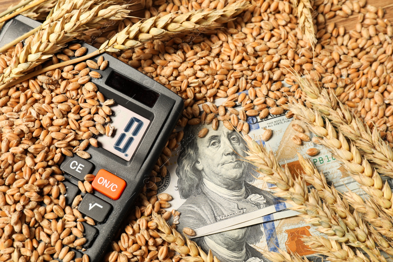 Photo of Dollar banknotes, calculator and wheat ears on grains, closeup. Agricultural business