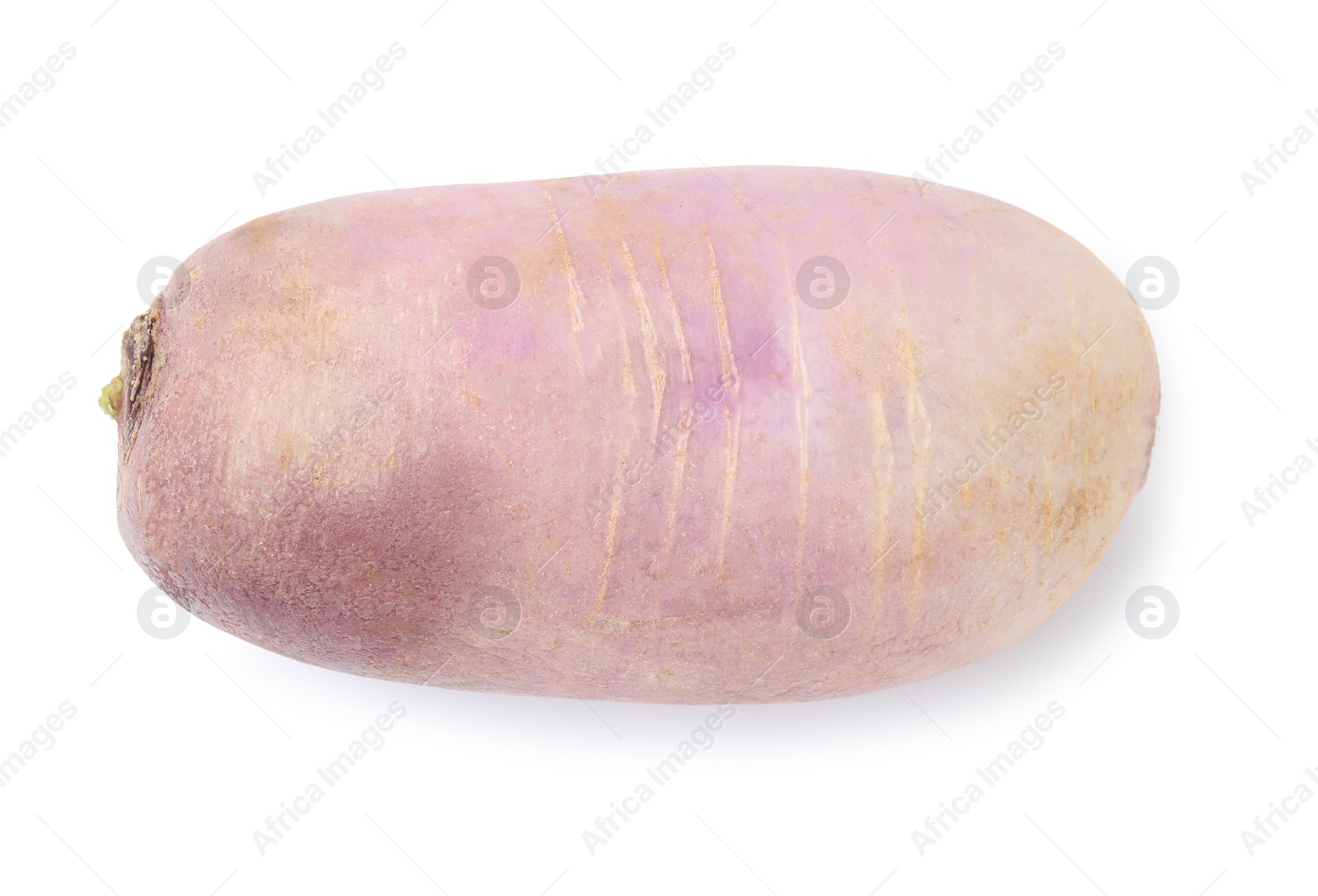 Photo of Ripe purple daikon radish isolated on white, top view