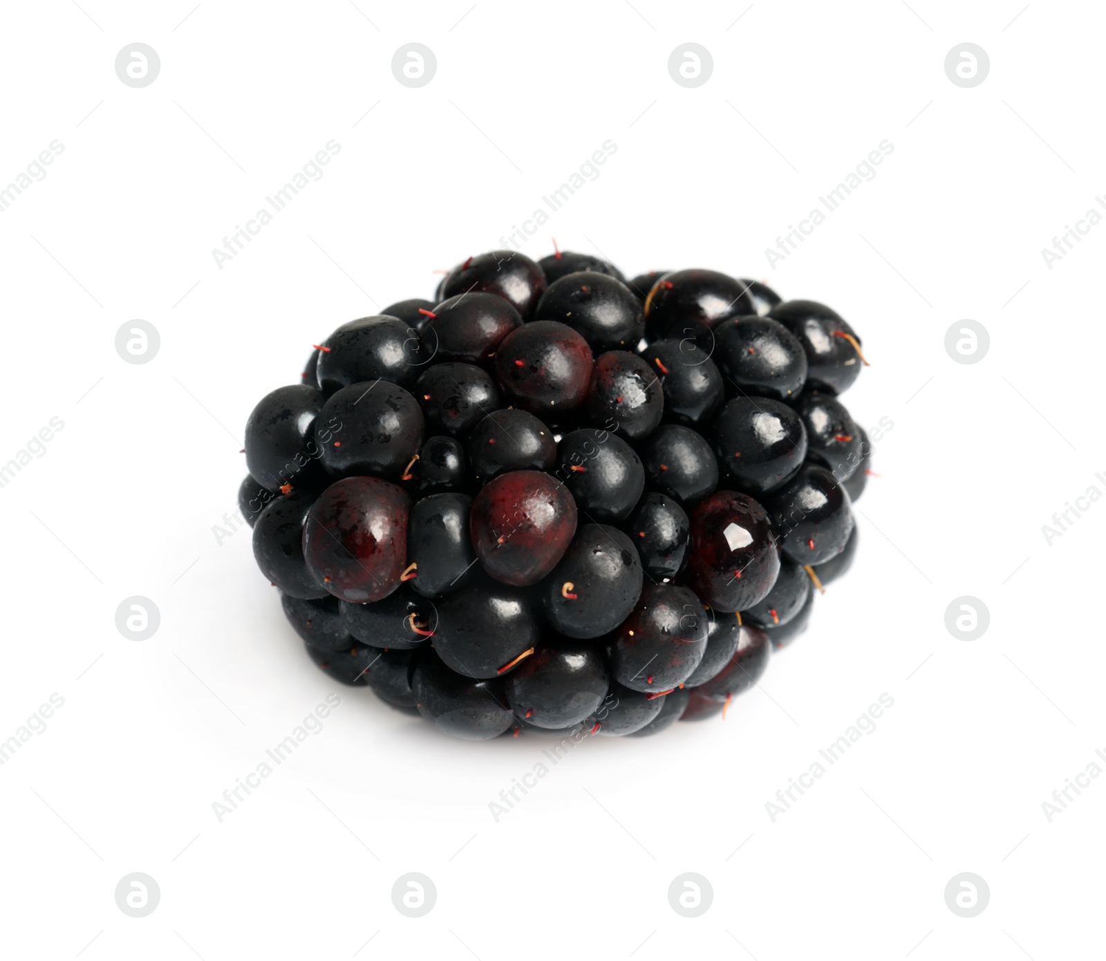 Photo of One tasty ripe blackberry isolated on white