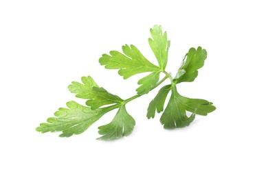 Photo of Sprig of fresh green parsley leaves isolated on white