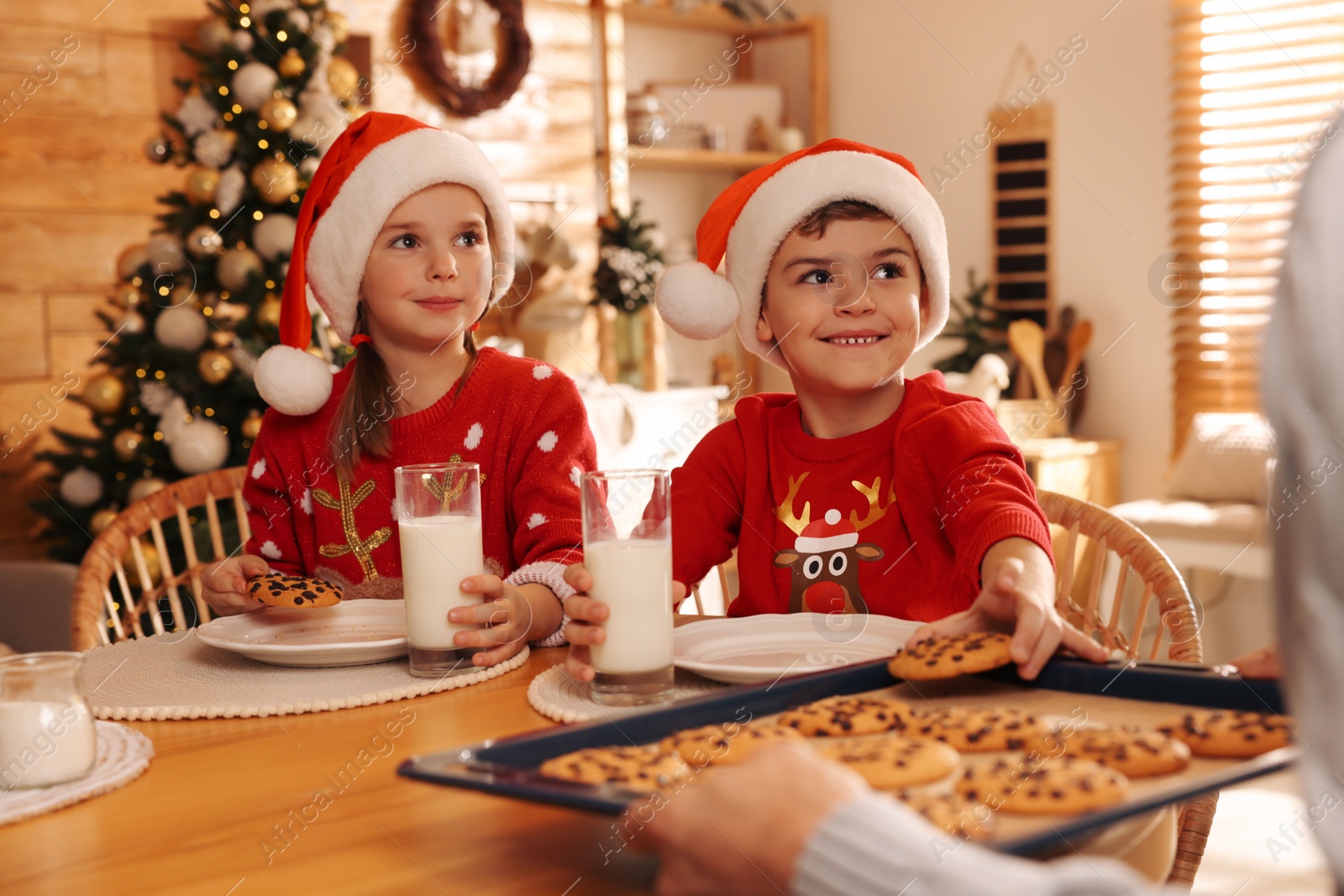 Photo of Father giving freshly baked delicious Christmas cookies to his children at home, closeup