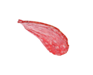 Photo of Slice of delicious sausage isolated on white