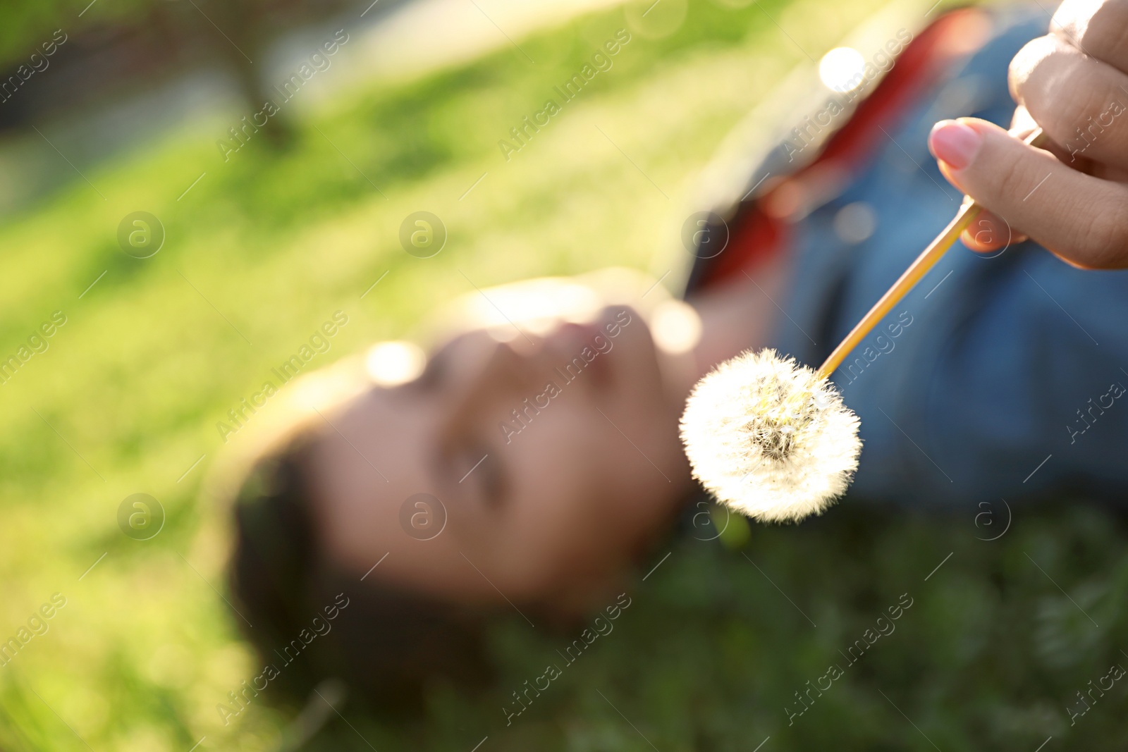 Photo of Young woman lying on green grass in park, focus on dandelion. Allergy free concept