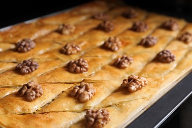 Photo of Delicious baklava with walnuts in baking pan, closeup