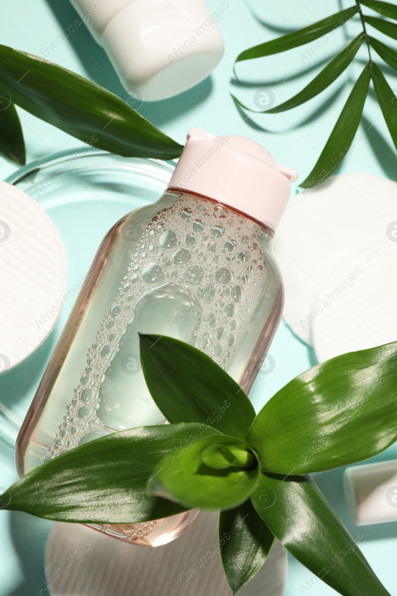 Photo of Bottle of micellar cleansing water, cotton pads and green plants on turquoise background, flat lay