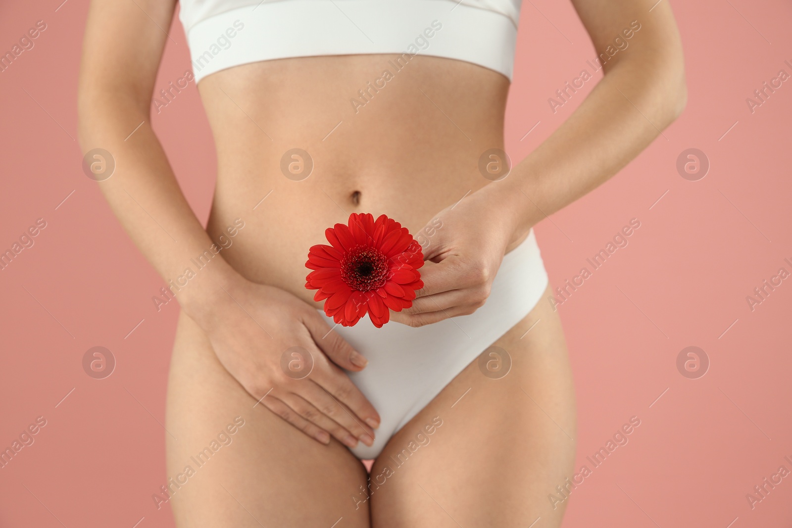 Photo of Gynecology. Woman in underwear with gerbera flower on pink background, closeup