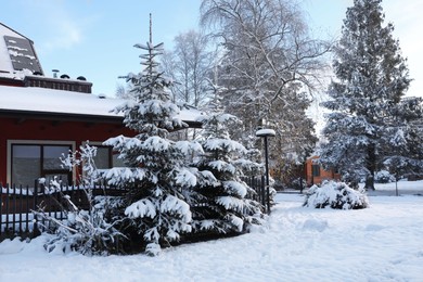 Photo of House and trees near fence in winter morning