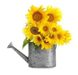 Watering can with beautiful yellow sunflowers on white background