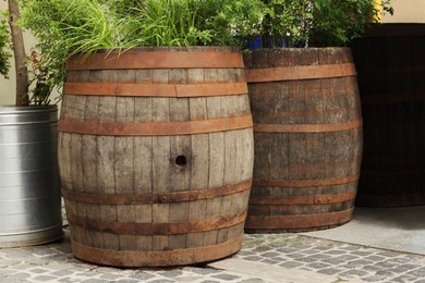 Photo of Traditional wooden barrels and green plants outdoors